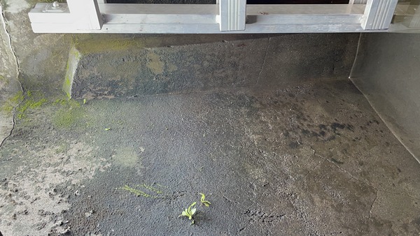 宜蘭清潔-蘭指部路水塔清洗水塔清洗前後