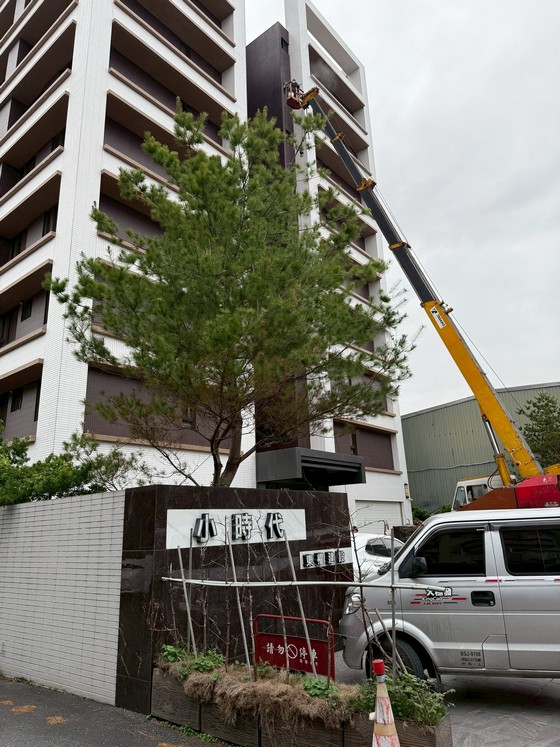 �y���M�~�j�ӥ~��