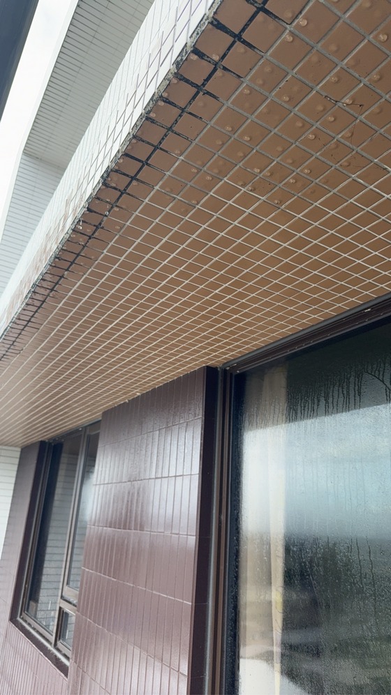 �y���M�~�j�ӥ~��