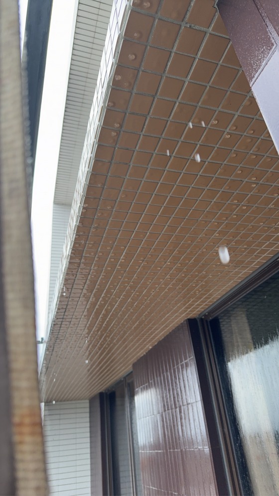 �y���M�~�j�ӥ~��